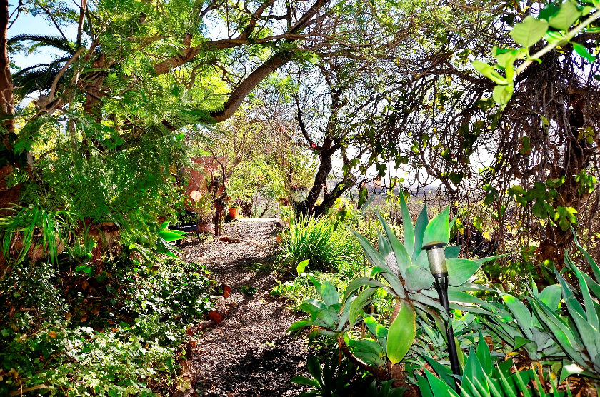 lapalma foto urlaub